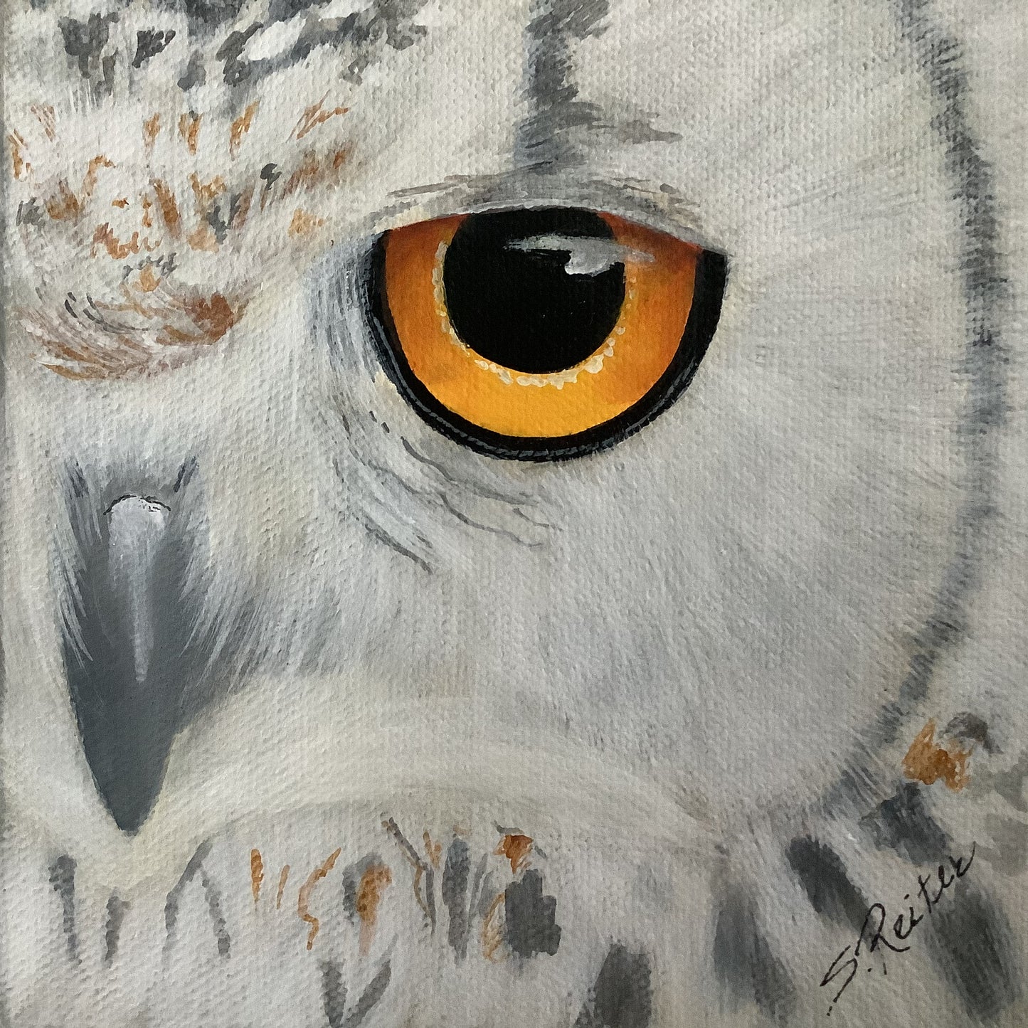 Peek-a-boo, 6x6" image 0