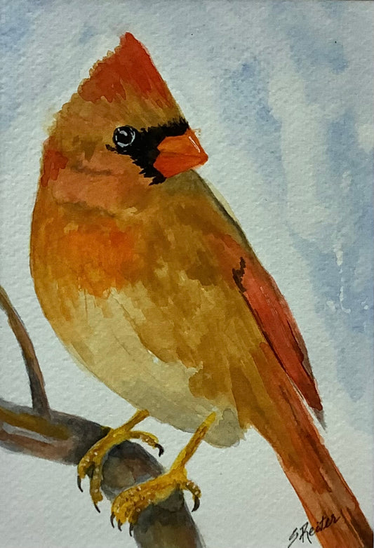 Female Cardinal 8x10" image 0