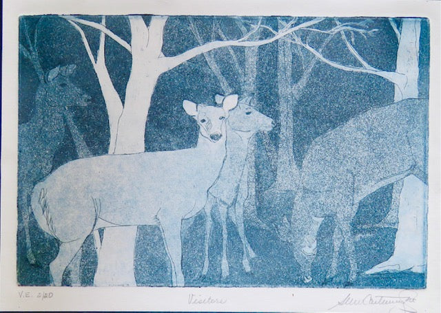 Visitors, 2/20 - 10x8" image 0