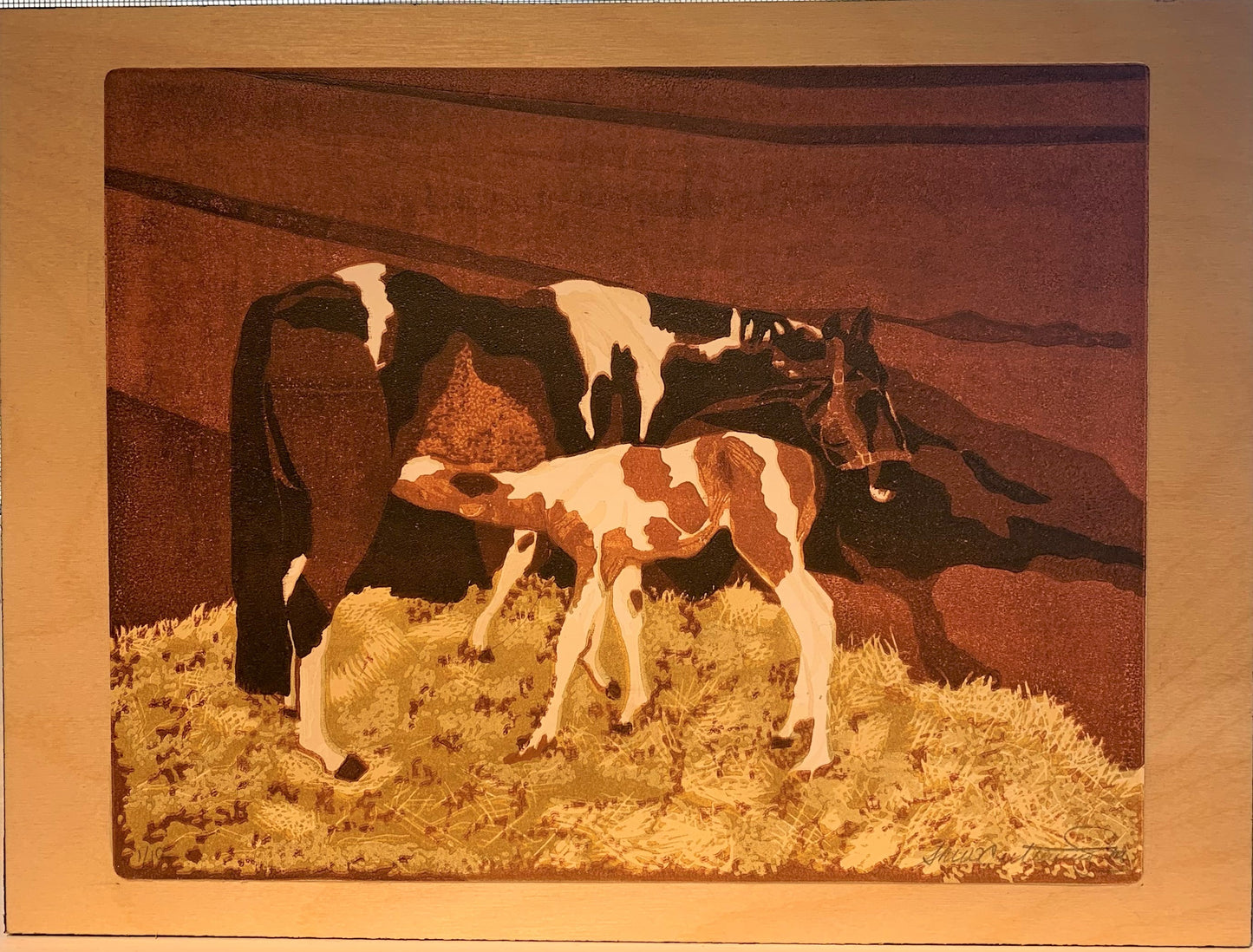 First Feed 1/10 12x9" image 0