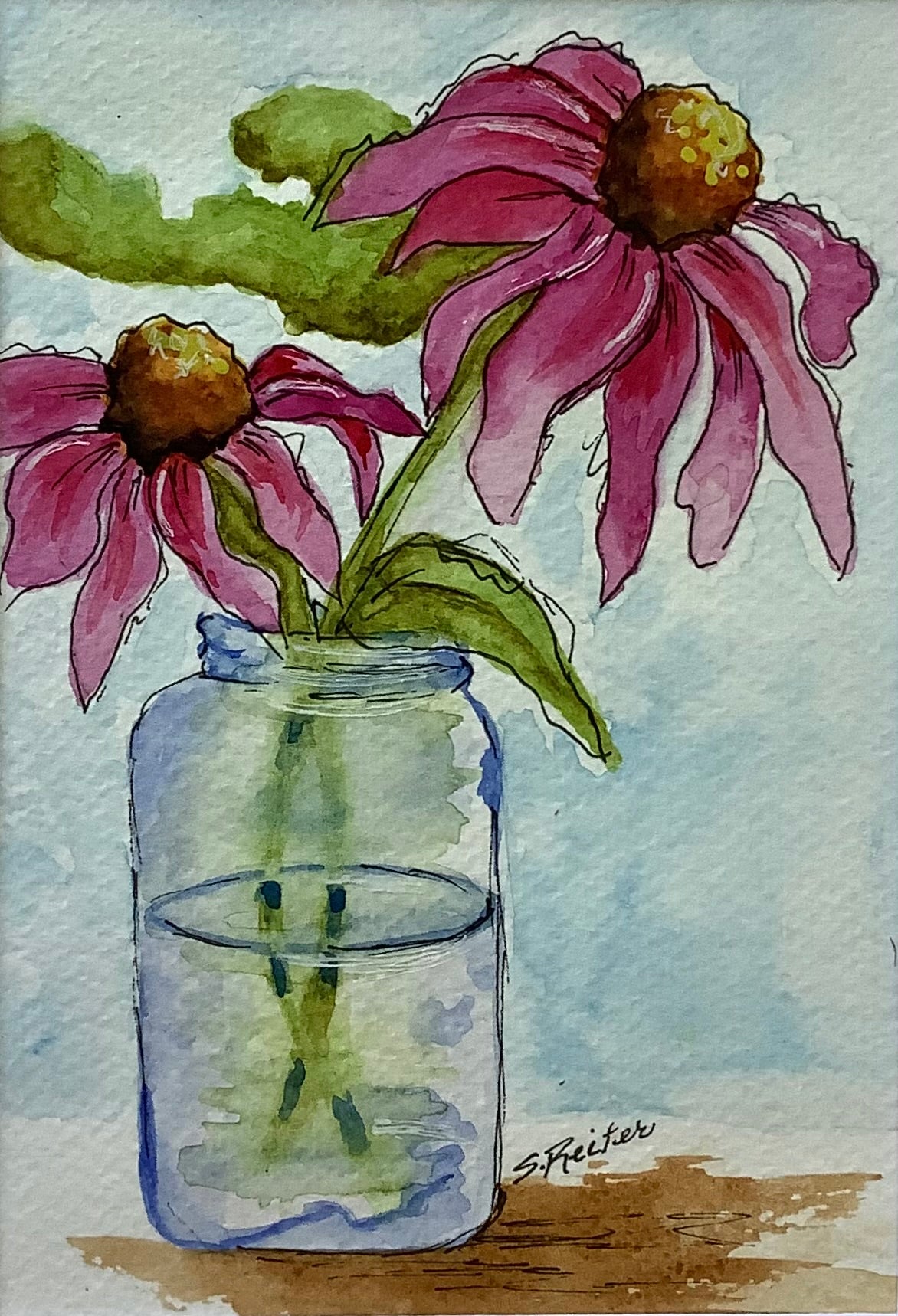 Pink Cone Flower 8x10" image 0