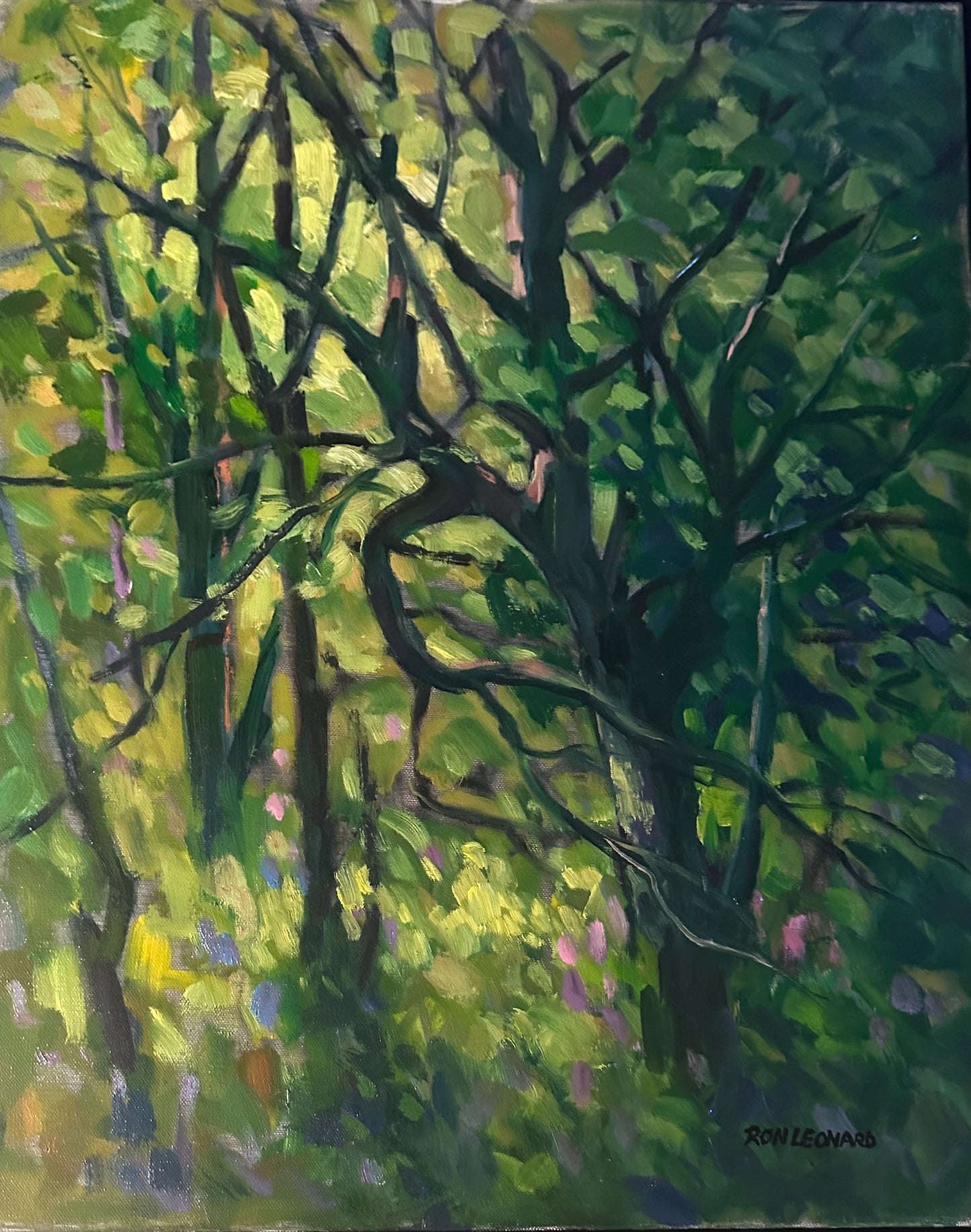 Deep Forest 16x20" image 0