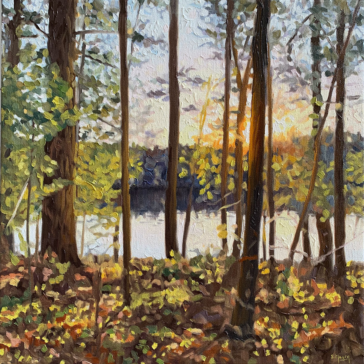 Seeking Light 12x12 image 0