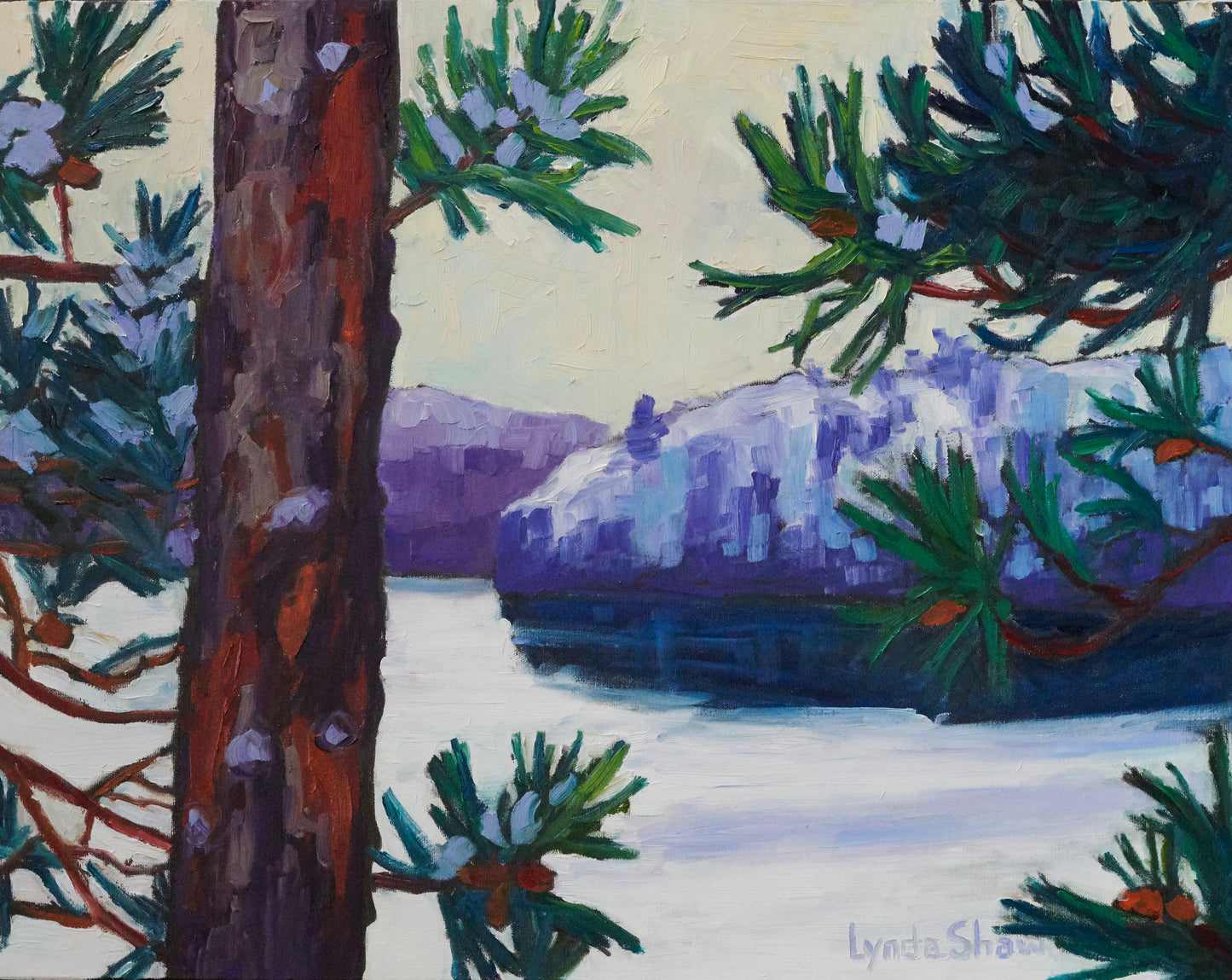 Red Pine and Early Snow 28x22" image 0