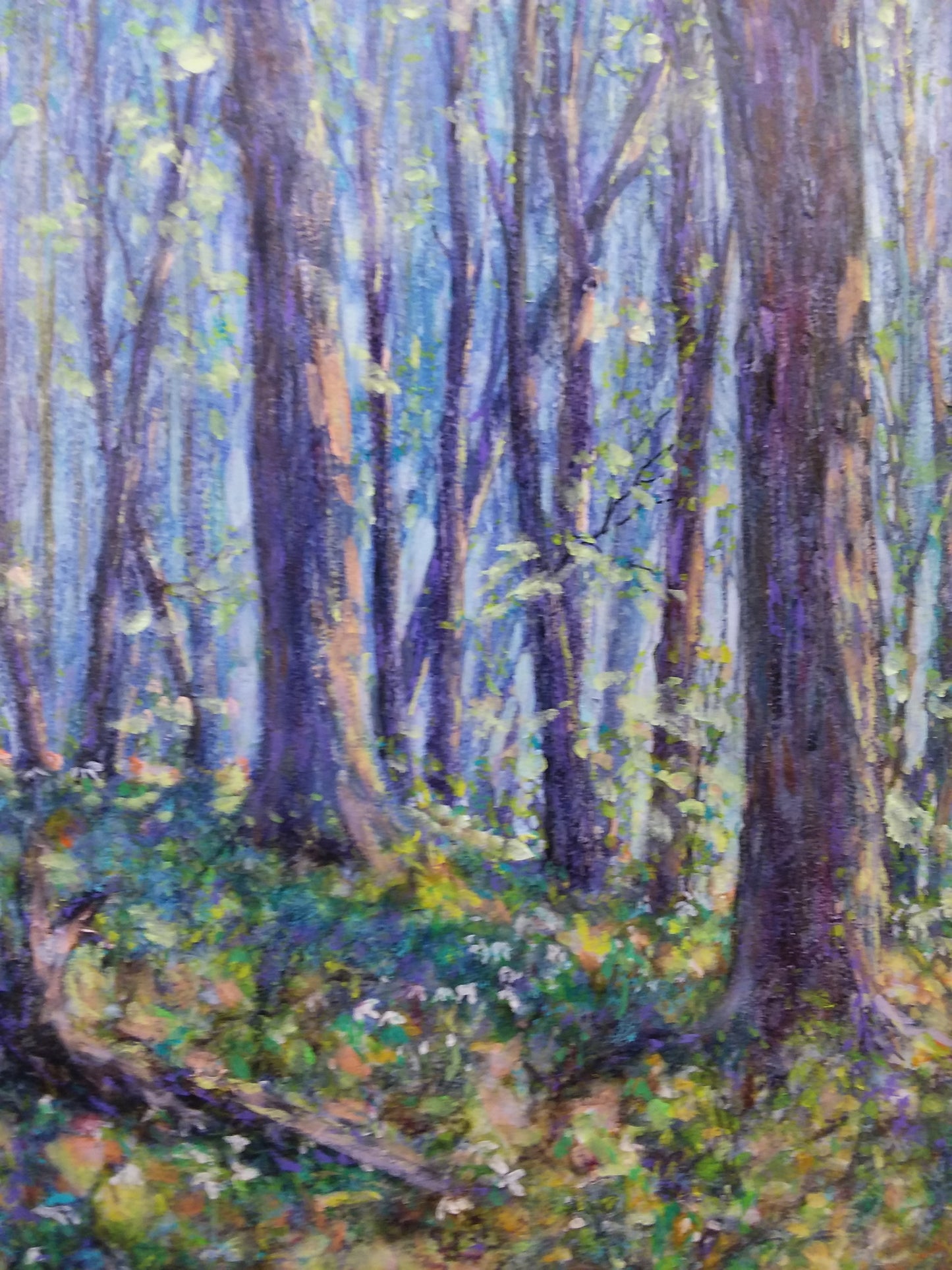 Summer Woods 12H x 16W" image 0