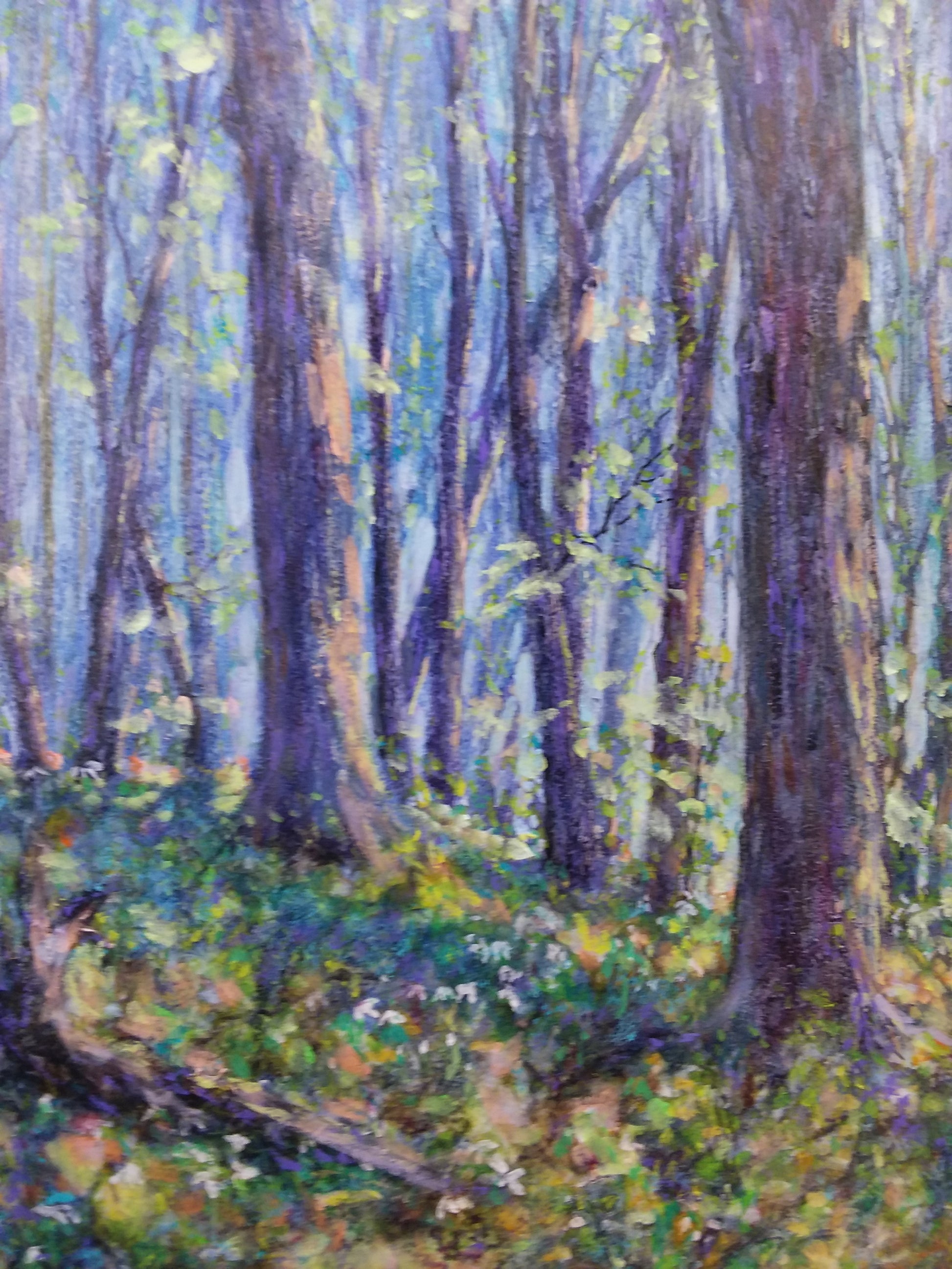 Summer Woods 12H x 16W" image 0