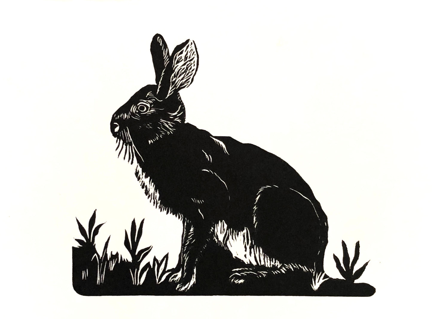 Hare in The Garden, Variable Edition #1 of 20 image 0