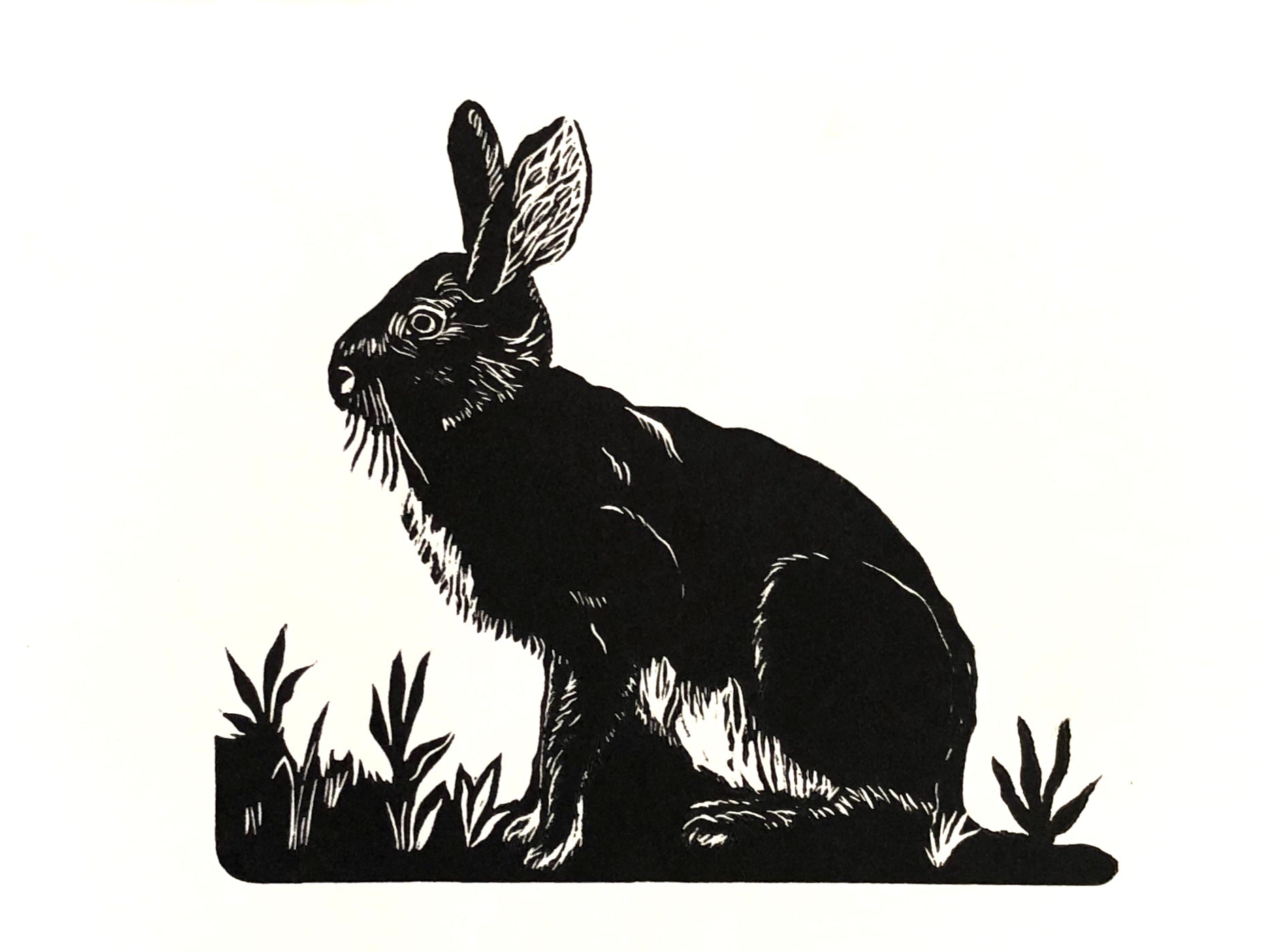 Hare in The Garden, Variable Edition #1 of 20 image 0