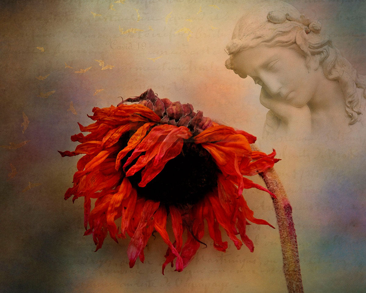 Reflecting on Life 10x8" image 0