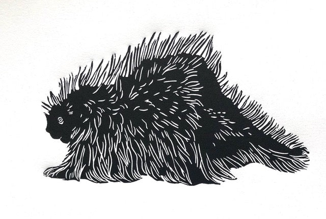 Quills 2/20 7x5" image 0