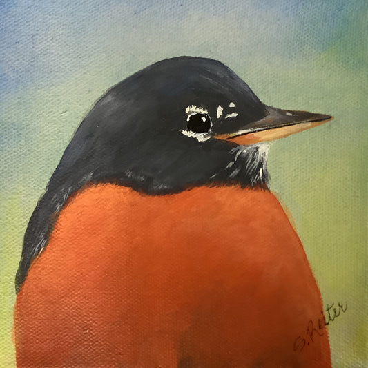 Robin Hood Junior, 6x6" image 0