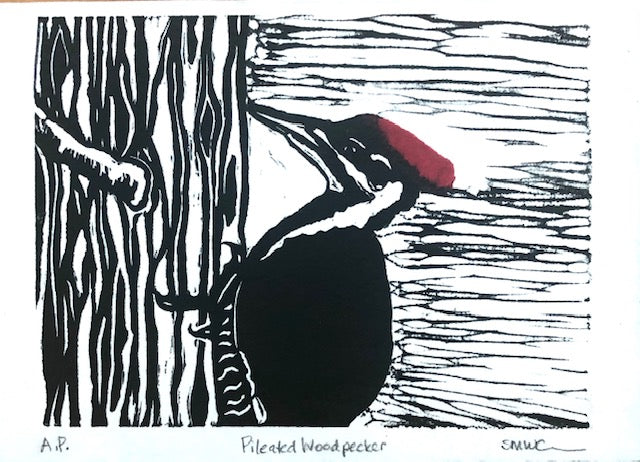 Pileated Woodpecker A.P- 7x5” image 0