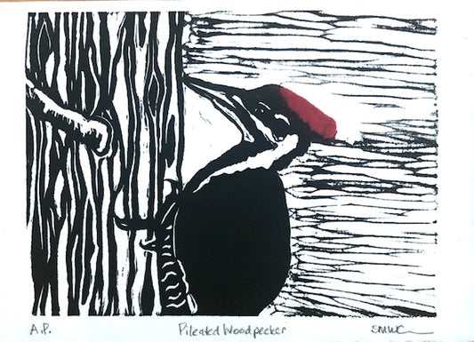 Pileated Woodpecker A.P- 7x5” image 0