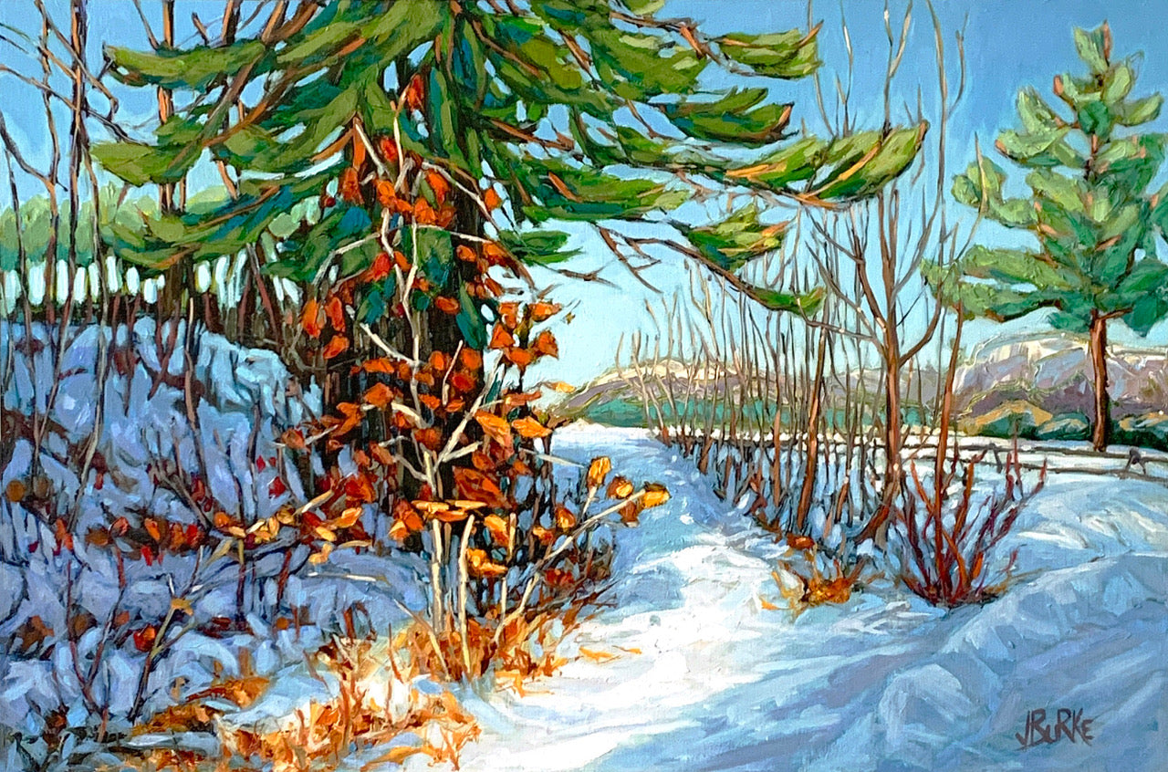 Sunlit Path image 0