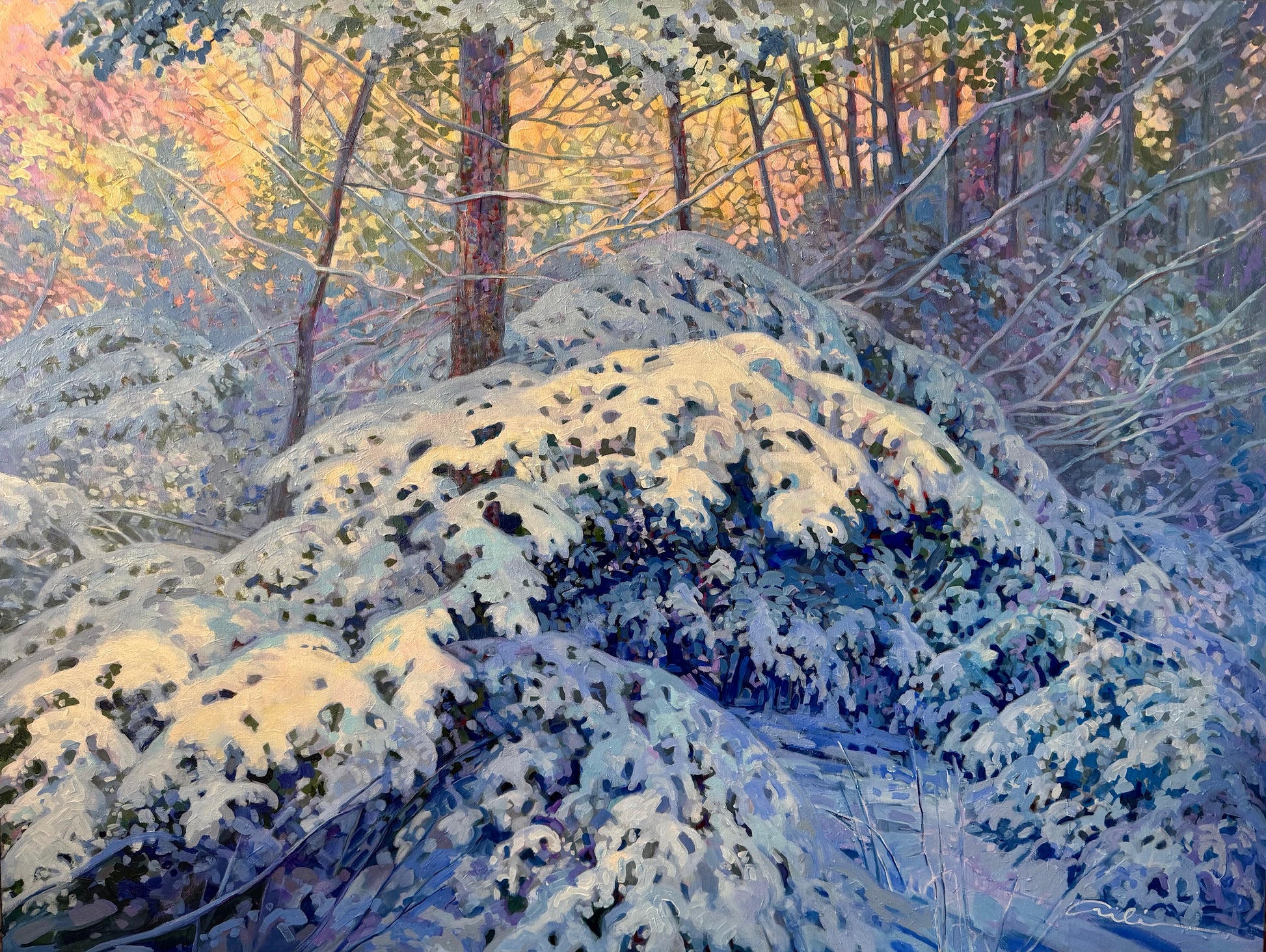 Winter's Duvet, 48"x36" image 0
