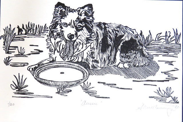 Aussie, 1/20 - 10x8" image 0