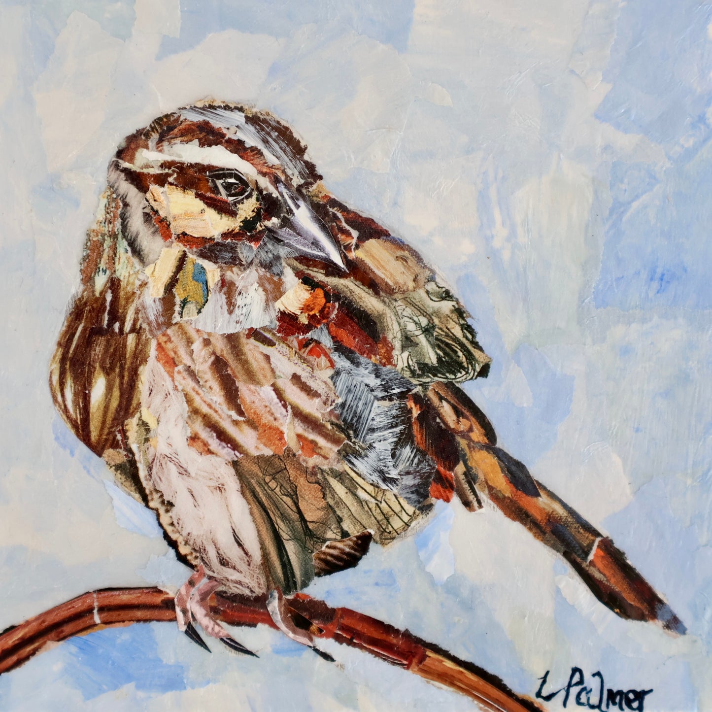 Sparrow 5x5 image 0