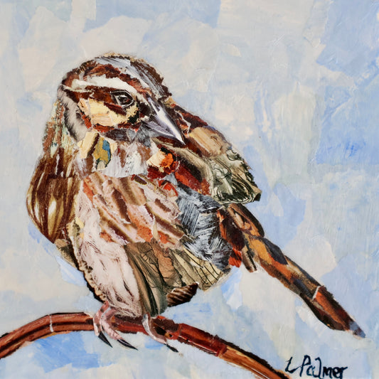 Sparrow 5x5 image 0