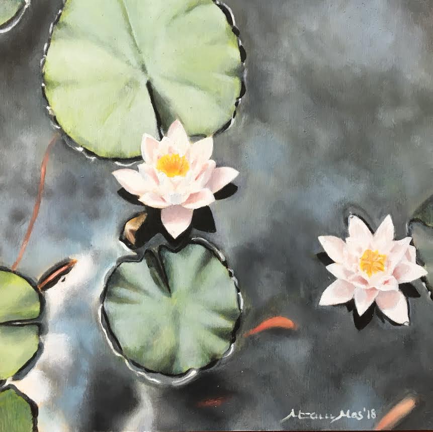 Pond image 0