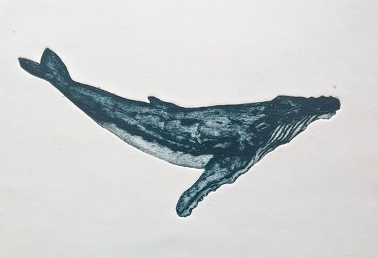 Humpback Calf image 0