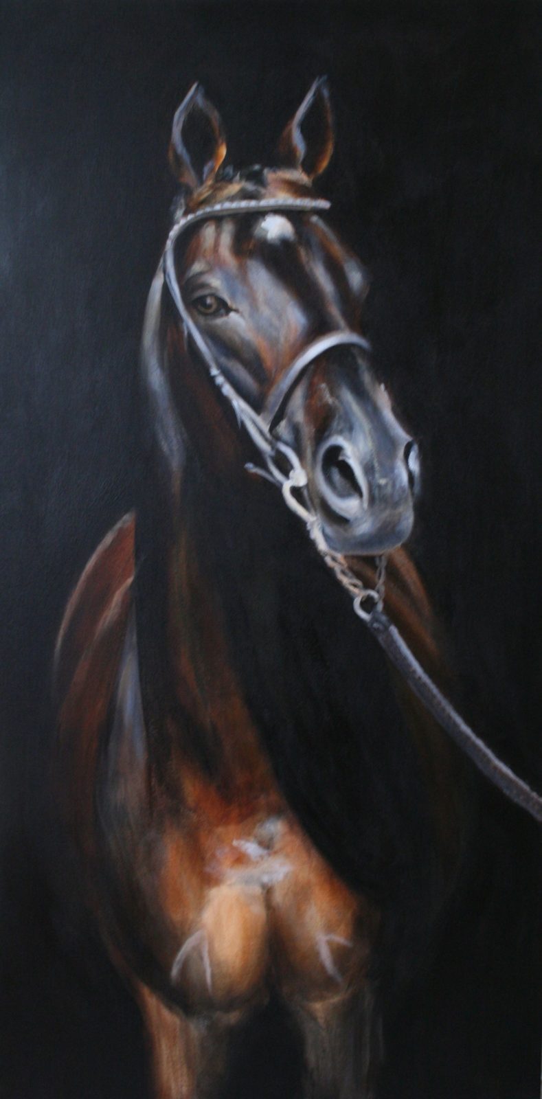 The Horse, 48x24" image 0