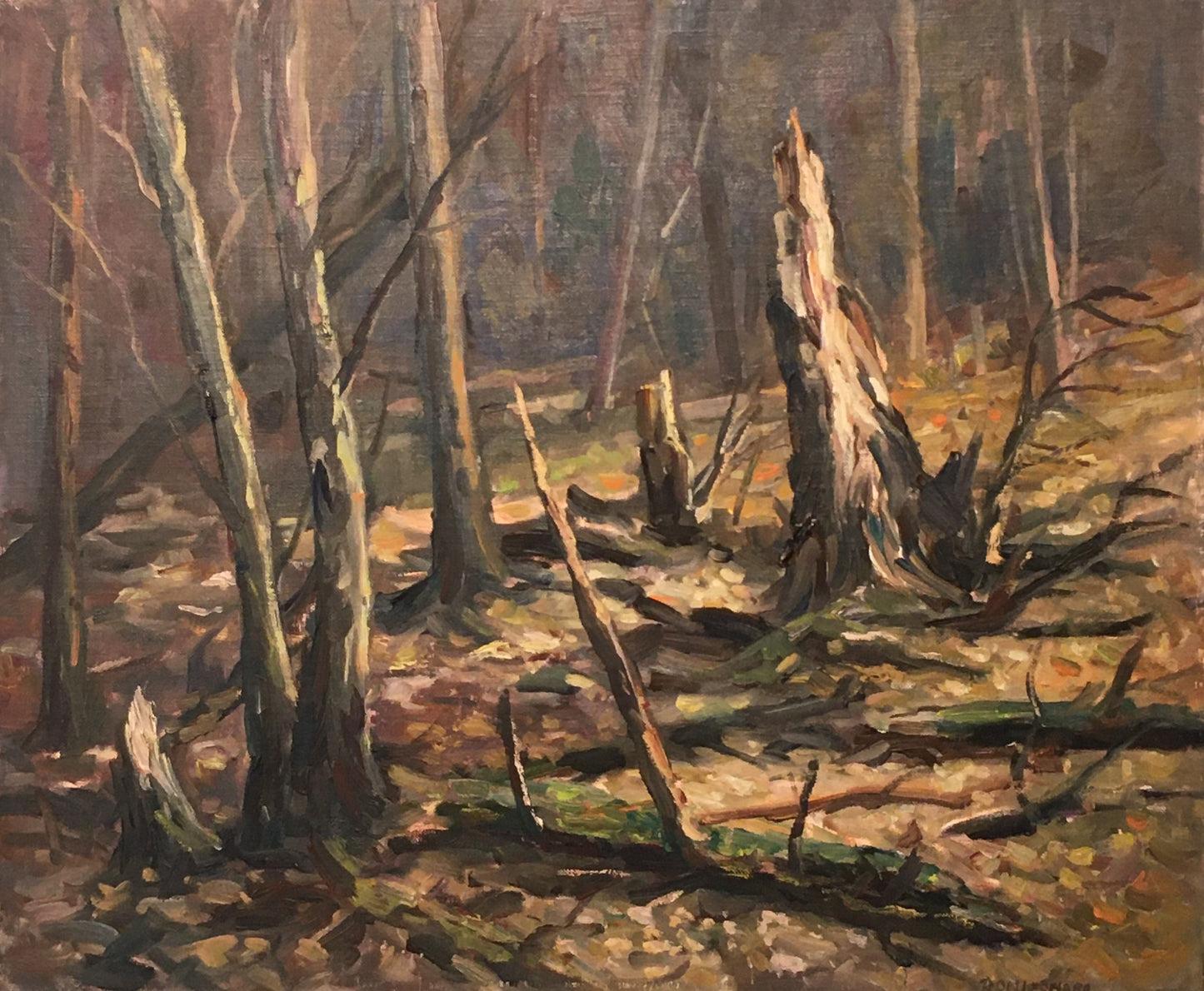 Deep Autumn, 1985 20x24" image 0