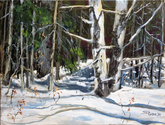 Old Spruce in Winter Sunlight 9x12" image 0