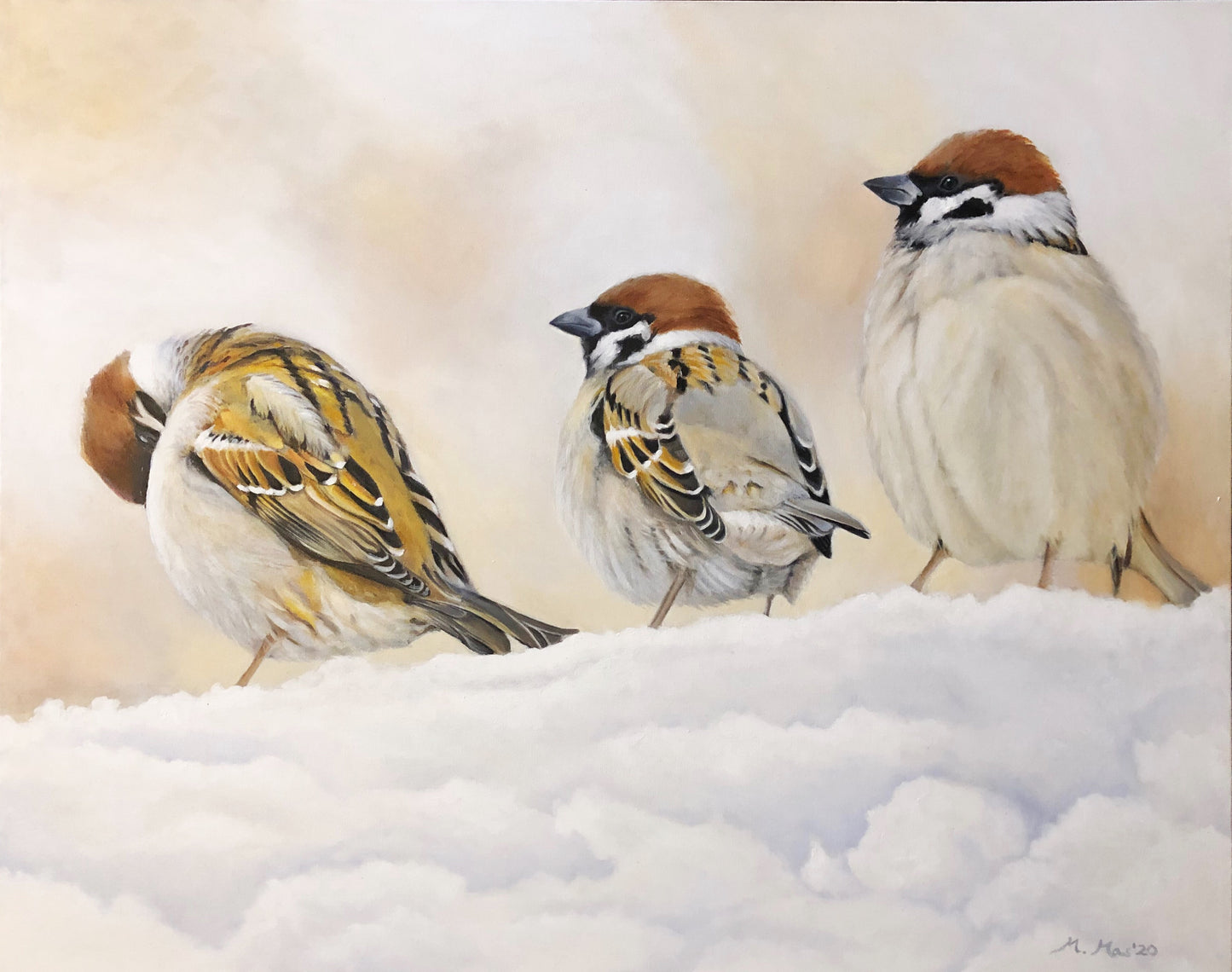 3 Sparrows in the Snow image 0
