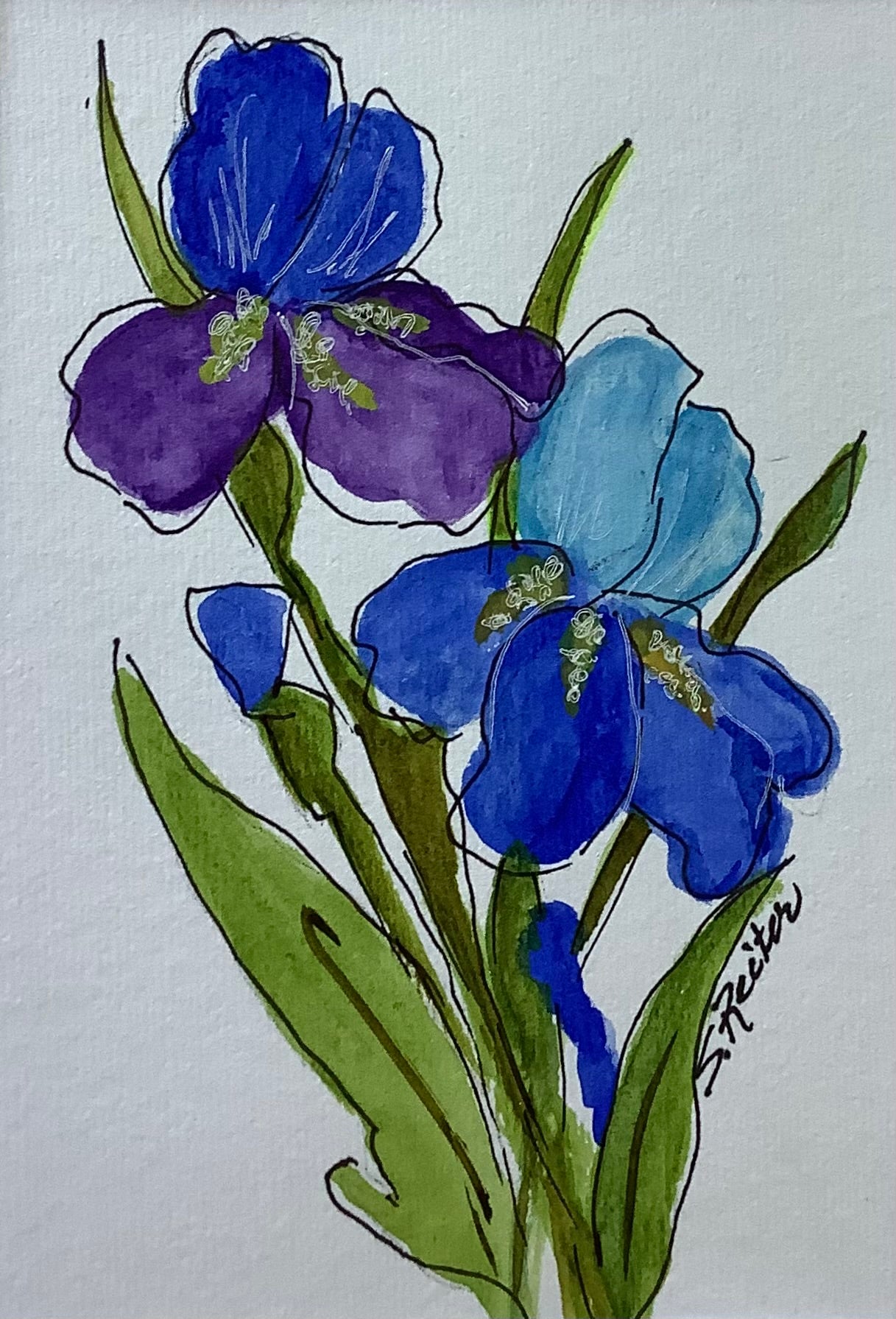 Beautiful Irises 8x10" image 0