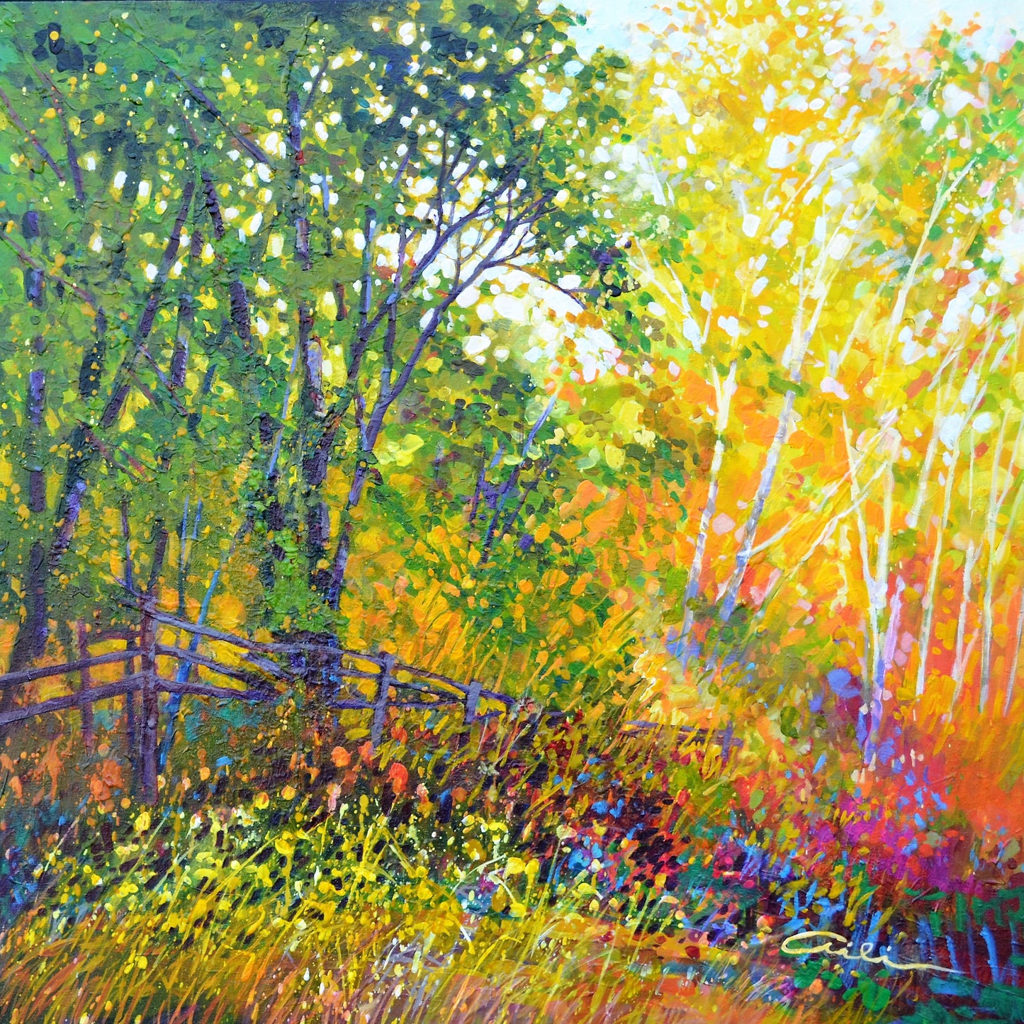 Bordering Summer image 0