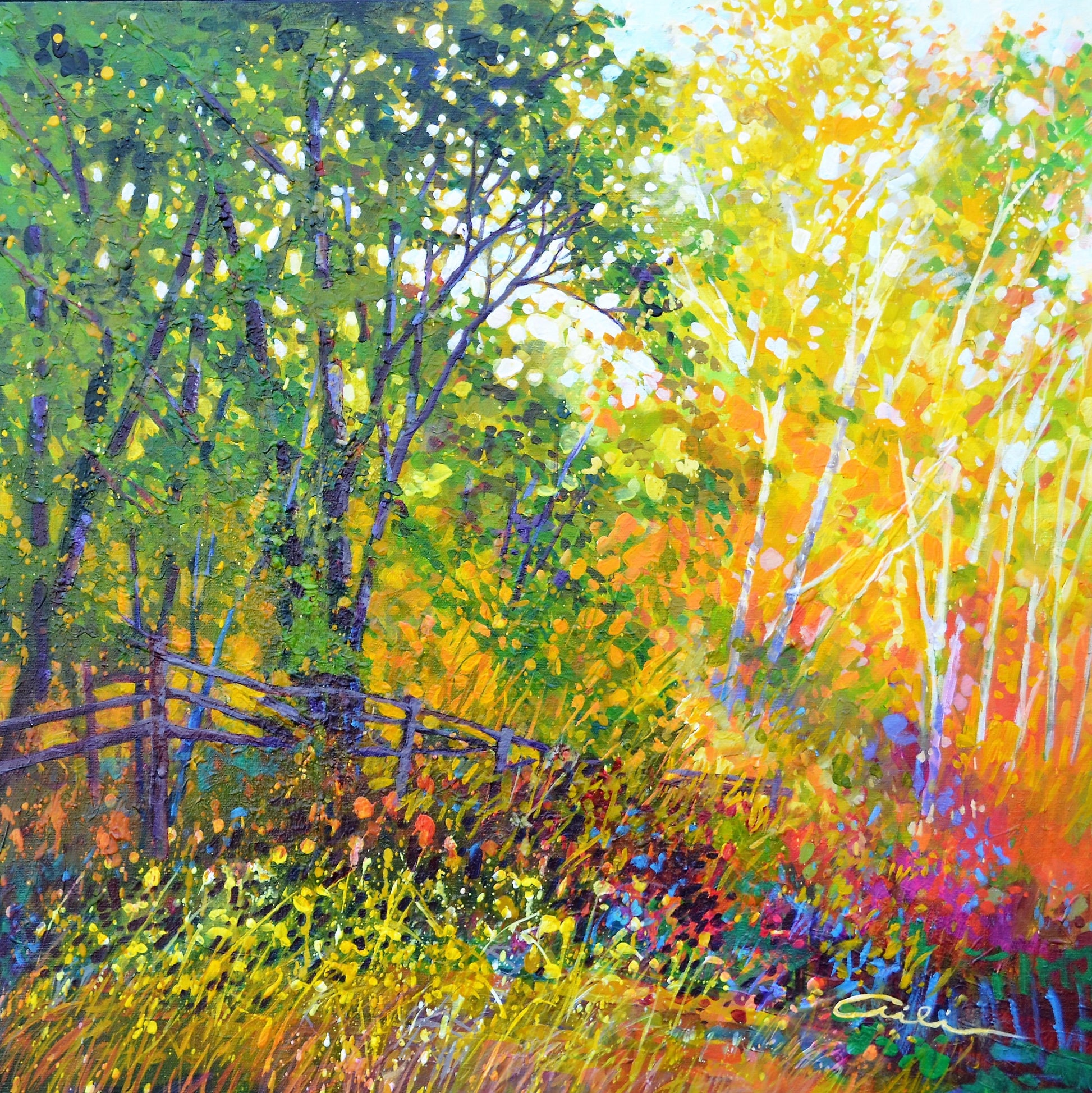 Bordering Summer image 0