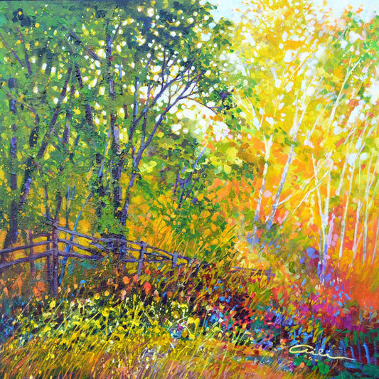 Bordering Summer image 0
