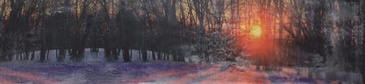 Evening Light image 0