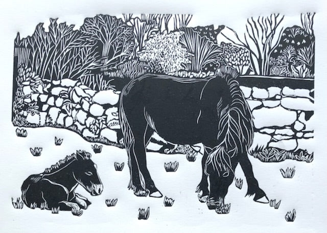 New Forest Spring 2/20, 10x8" image 0