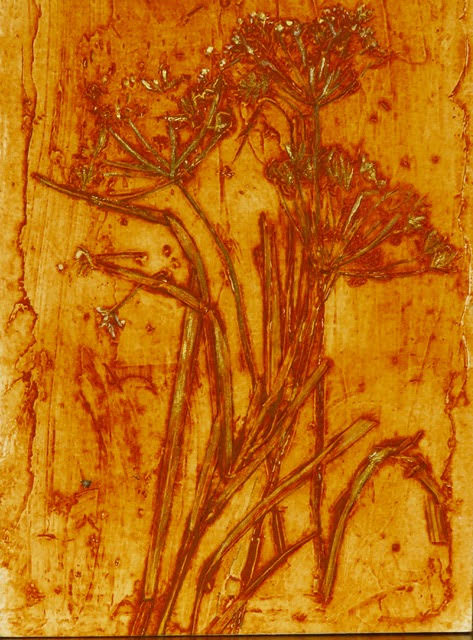 Autumn Splendor image 0
