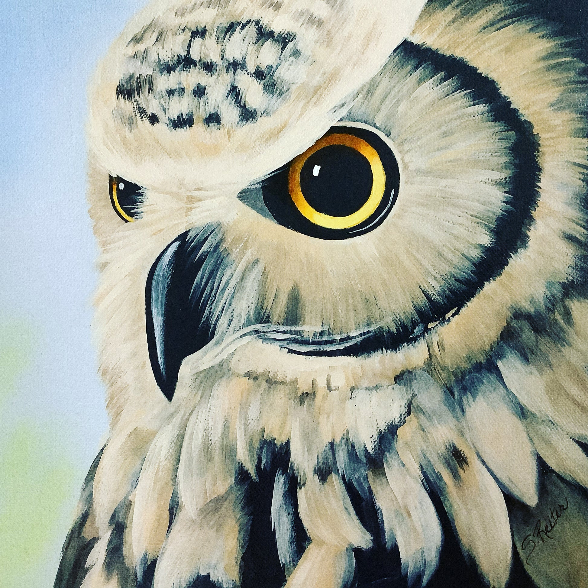 The Wise Ole Owl, 10x10" image 0