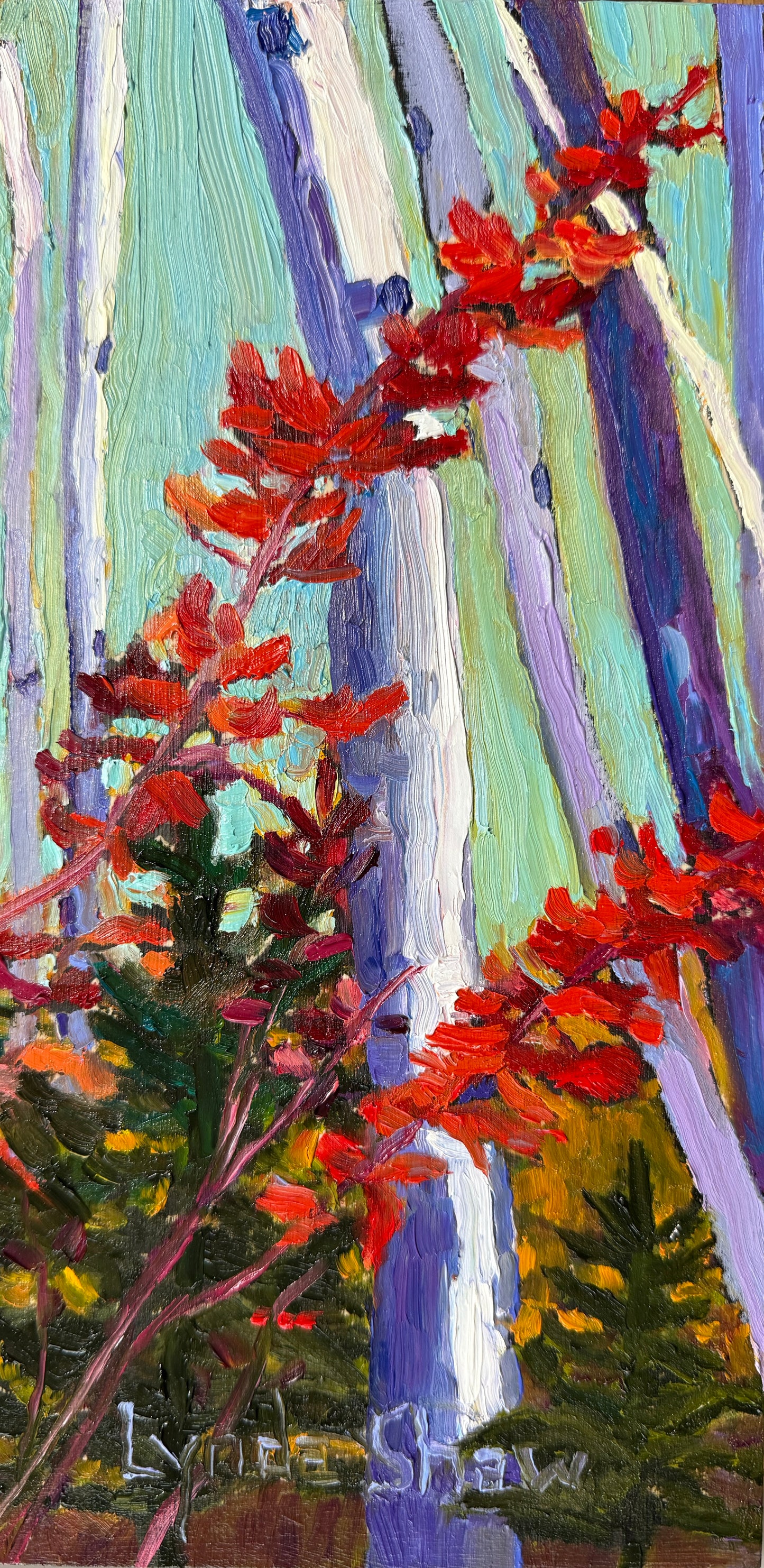 Northern Fall Forest Collection 2 12x6 image 0