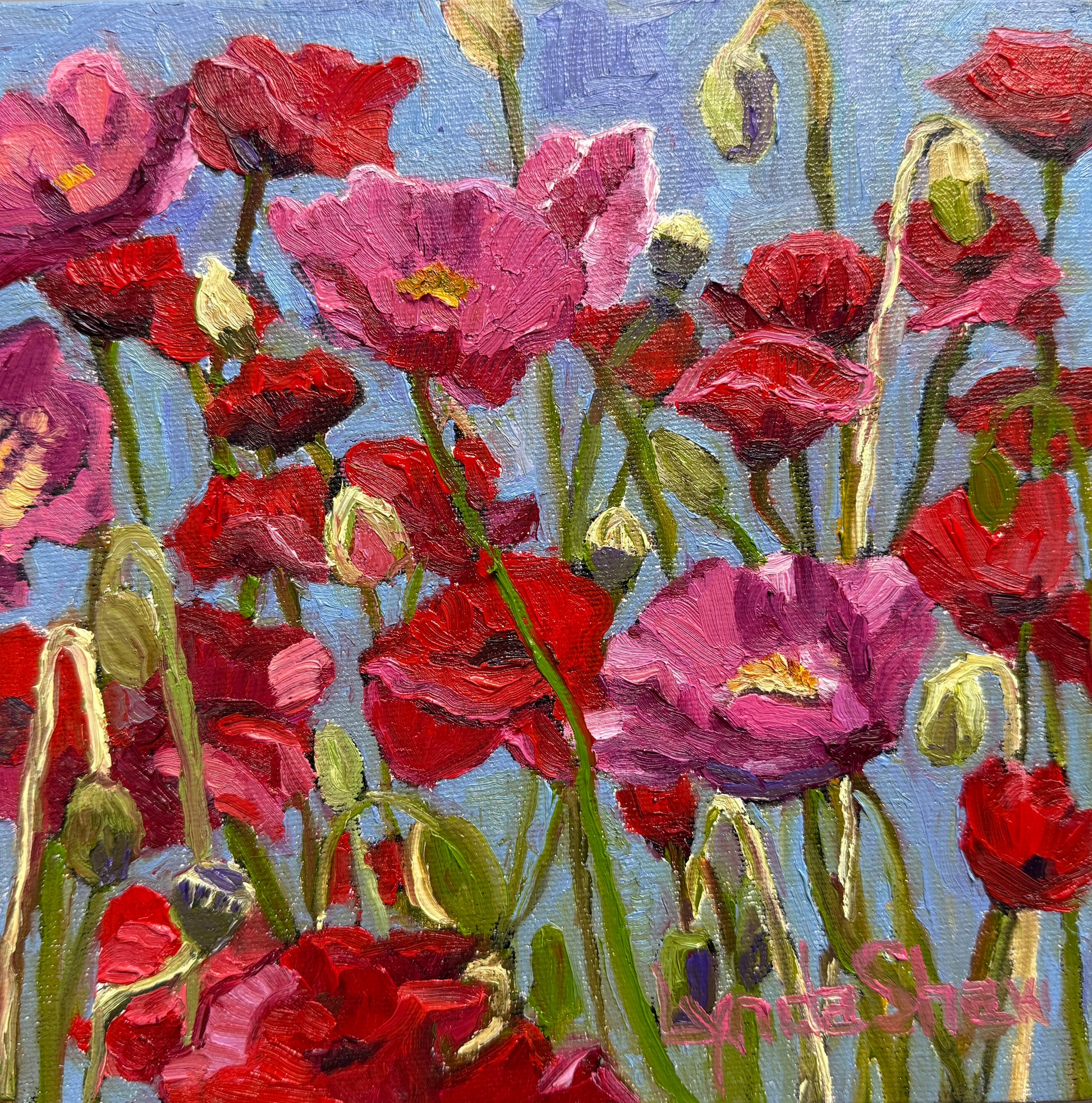 Poppies     8"x8" image 0