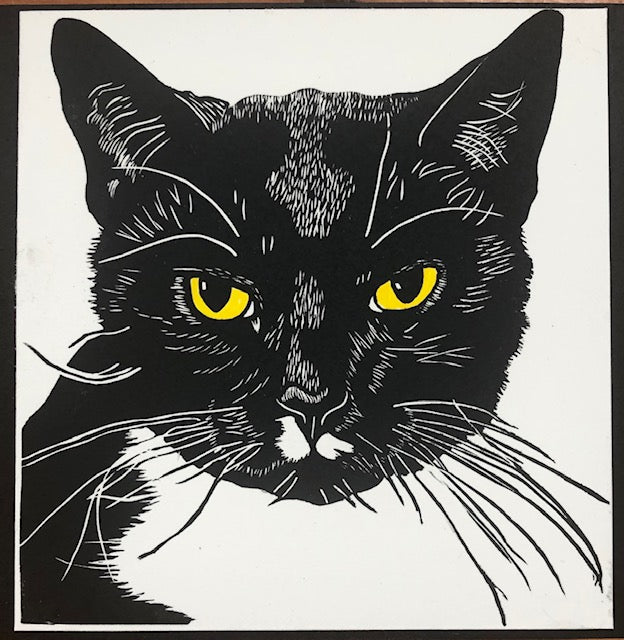 Untitled (B&W Cat) V.E 5/20 - 6x6” image 0