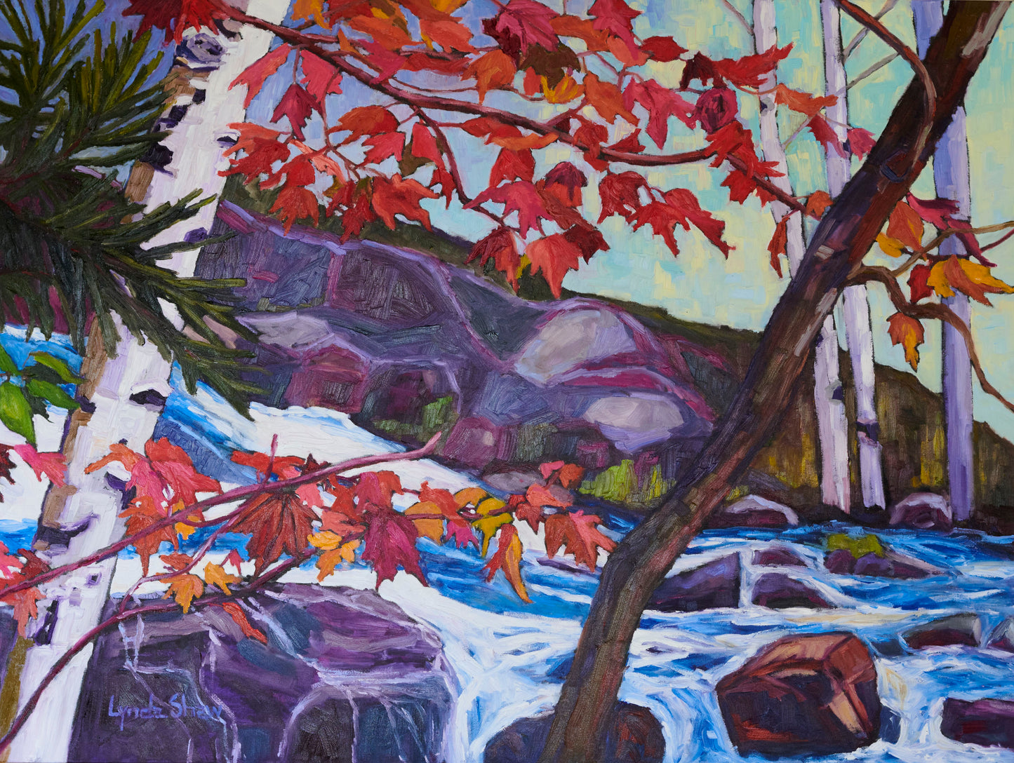 Birch Trees and Fall Leaves, Collection 9 image 0