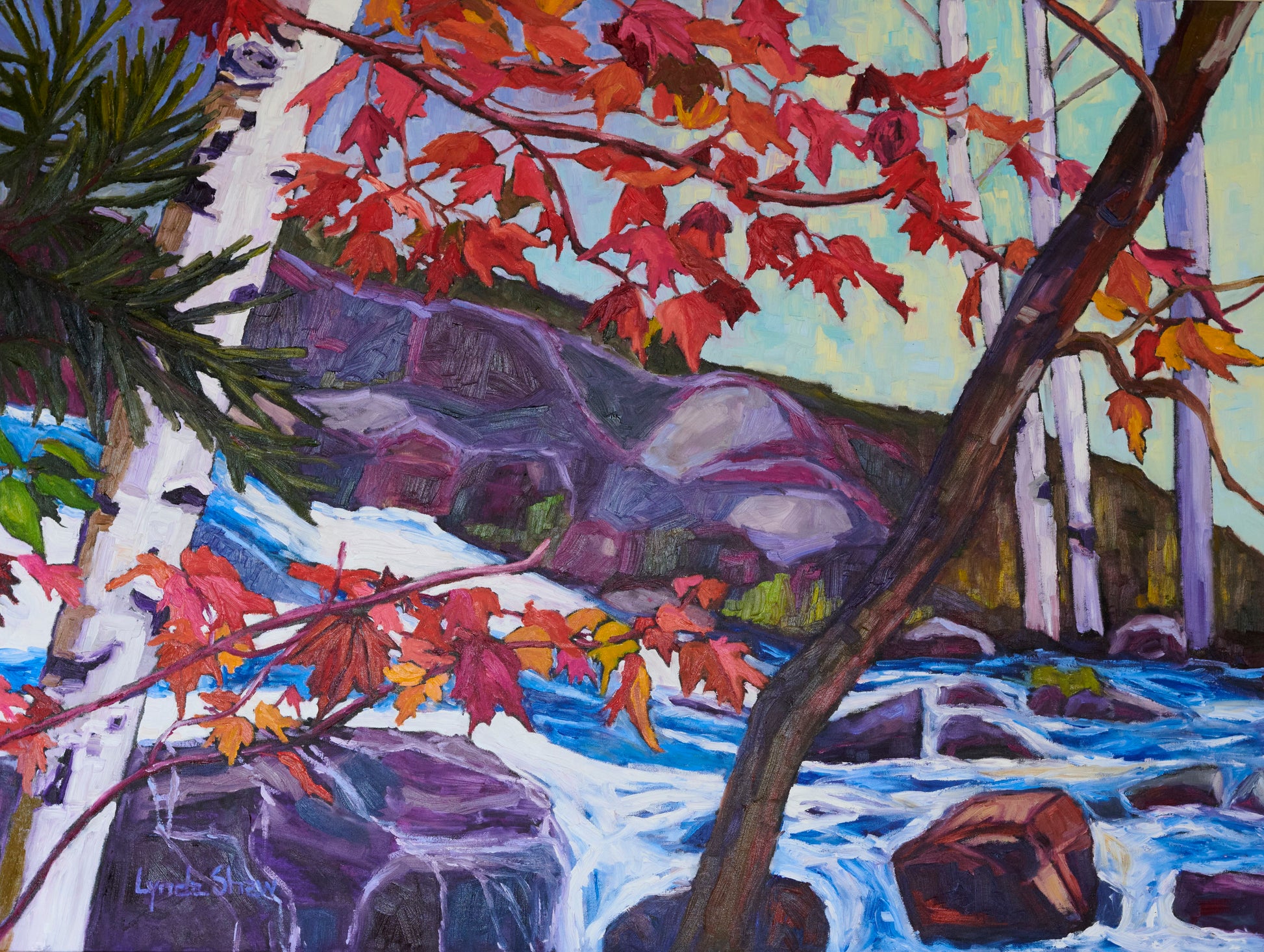 Birch Trees and Fall Leaves, Collection 9 image 0