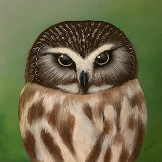 Saw Whet Owl 8x8" image 0