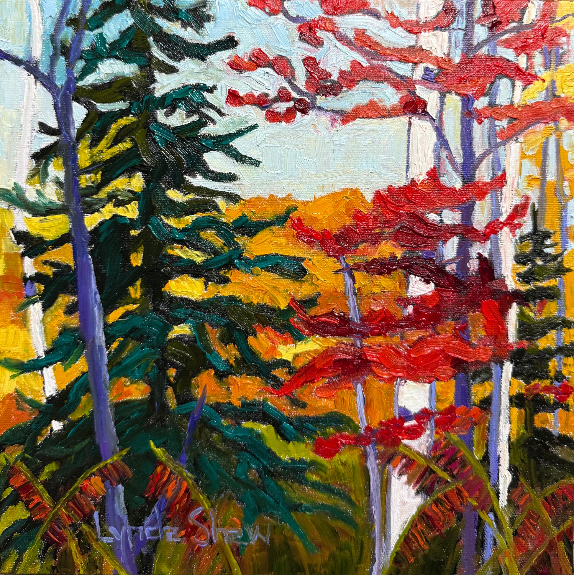 Northern Fall Forest 12x12 image 0