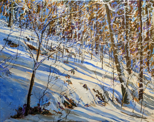 Snow Sun and Shadows, 16x20" image 0