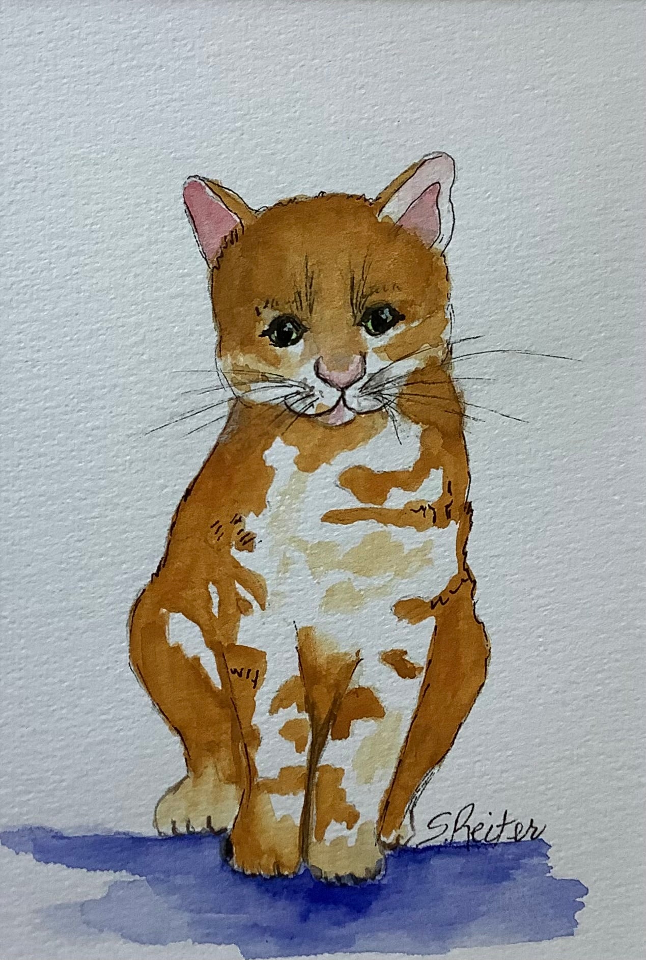 Kitty 8x10" image 0