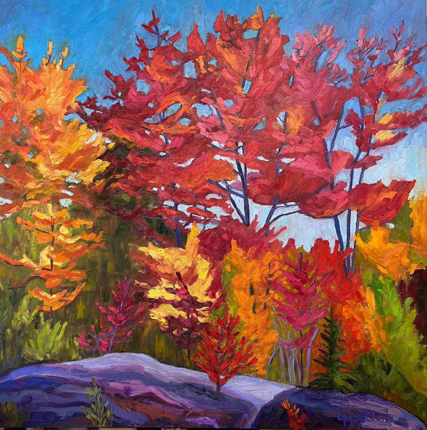 Fall Fantasia, Collection 3, 42H x 42W image 0