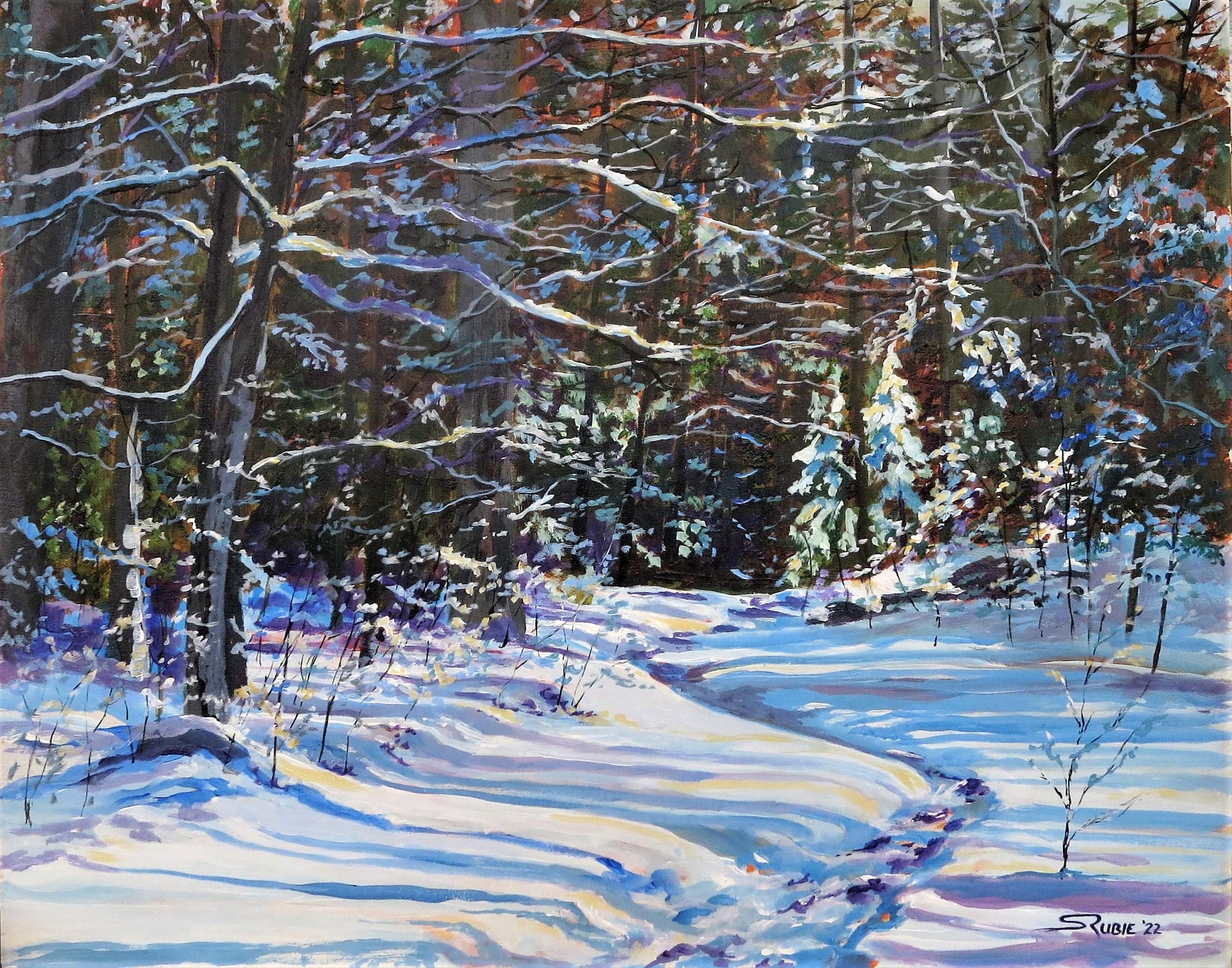 Snow Trails Shadows 16x20" image 0