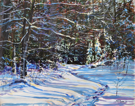Snow Trails Shadows 16x20" image 0
