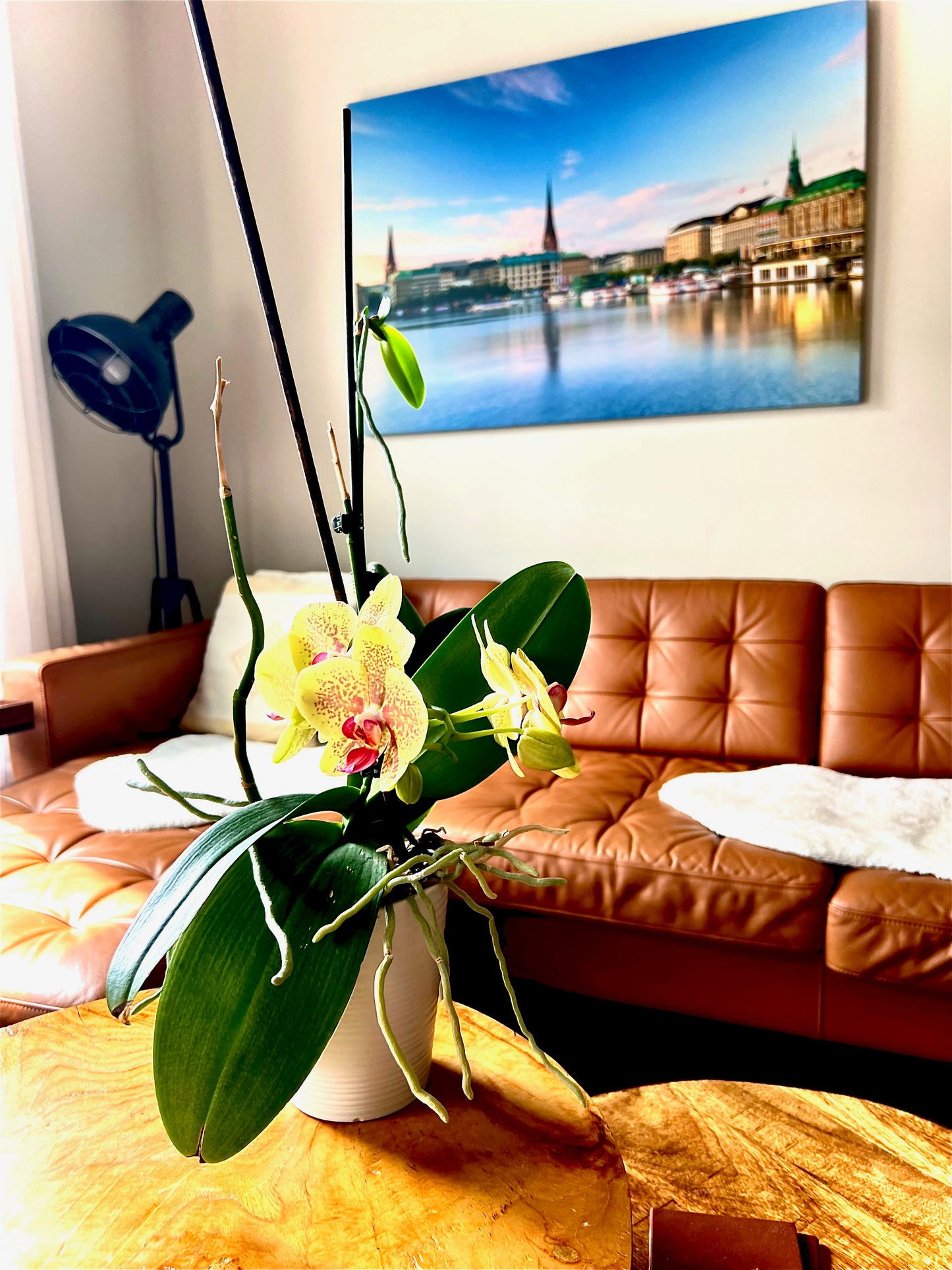 Hamburg - Apartment Downtown Perth